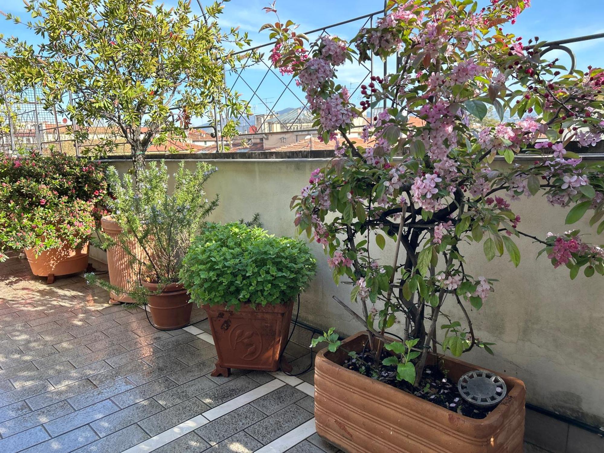 Cherubini Apartamento Florencia
